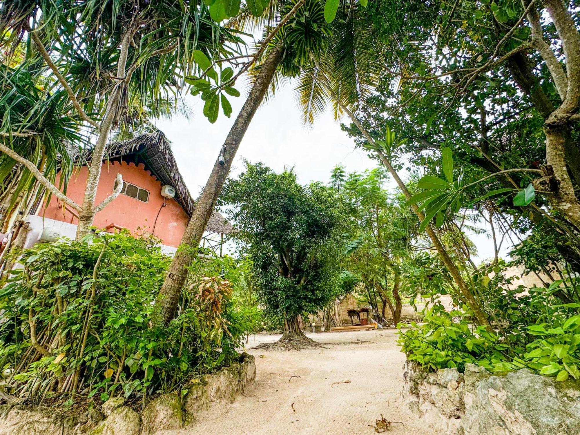 Sagando Bungalows Zanzibar Michamvi Kae Екстер'єр фото